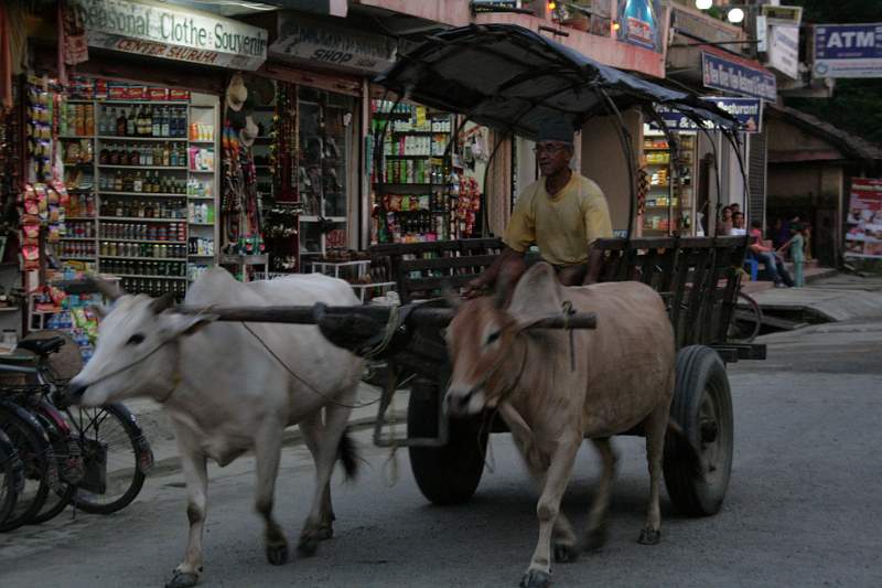 India & Nepal 2011 - 0530